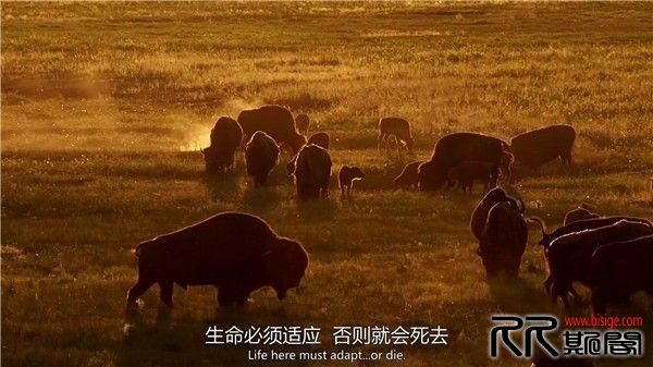 [05.07][英国][纪录][地平线系列：太阳系的海洋][HD1080P-MP4/1.29G][中英字幕][16年英国纪录片][已测]